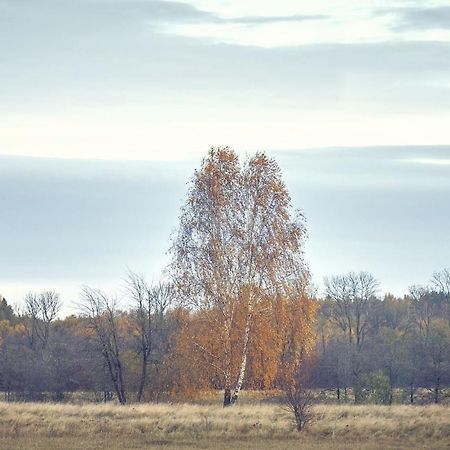Vila Marchewkowy Siemiany Exteriér fotografie